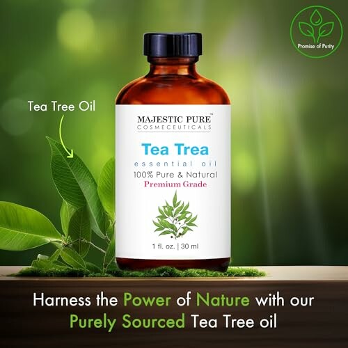 Bottle of Majestic Pure Tea Tree essential oil with leaves.